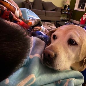 Meet your Posher, Jason